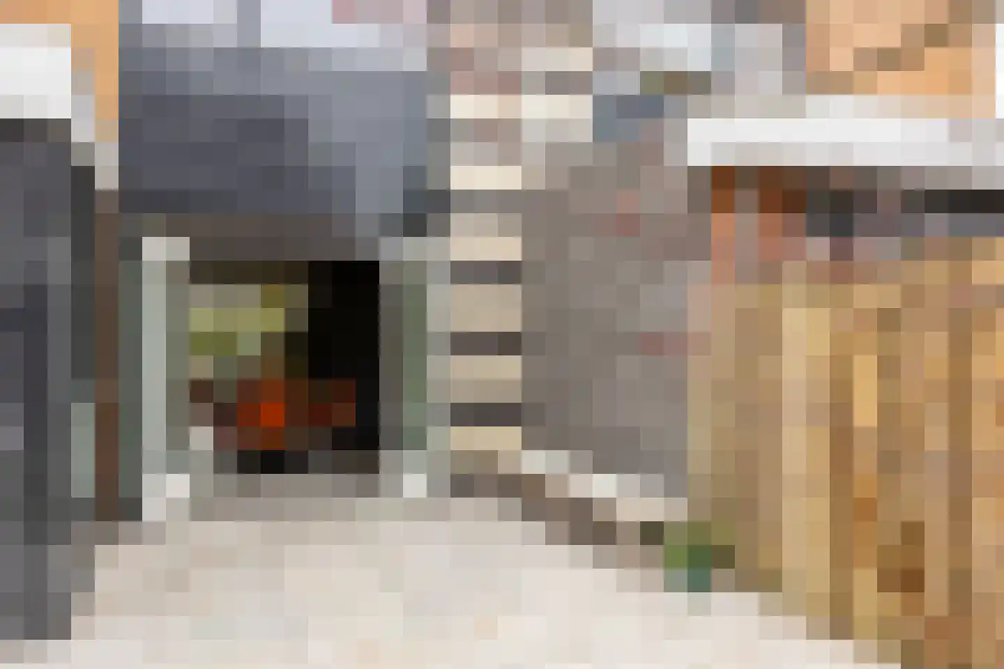 Antoni Staringlaan 3 Vlijmen thumbnail 38