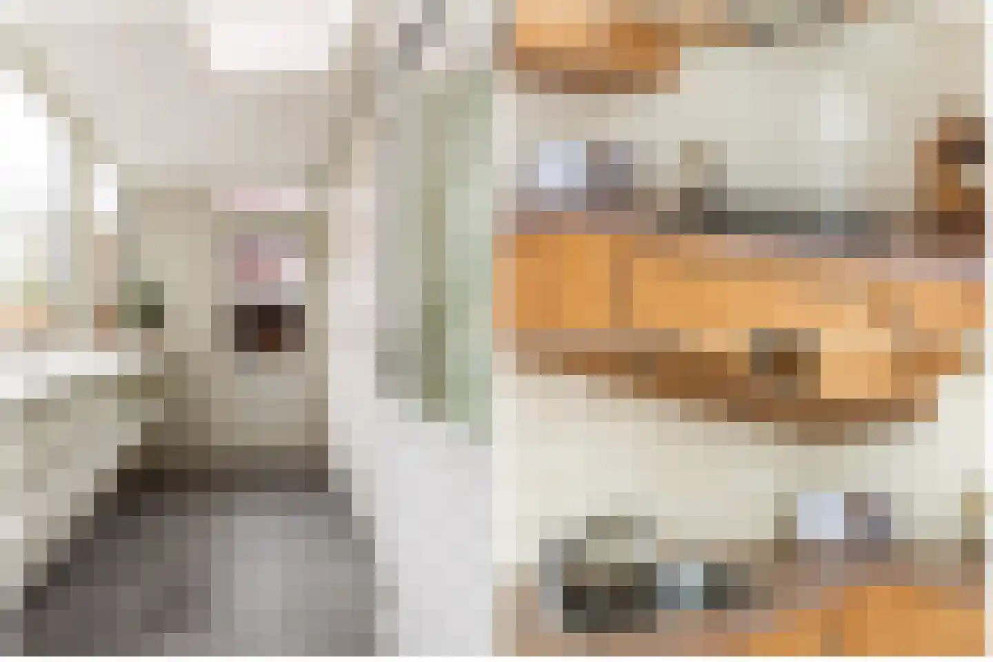 Antoni Staringlaan 3 Vlijmen thumbnail 9
