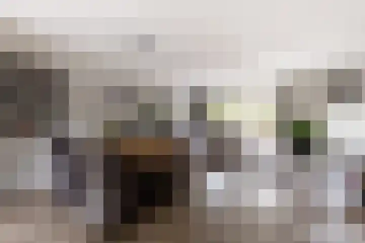 Antoni Staringlaan 70 Vlijmen thumbnail 10