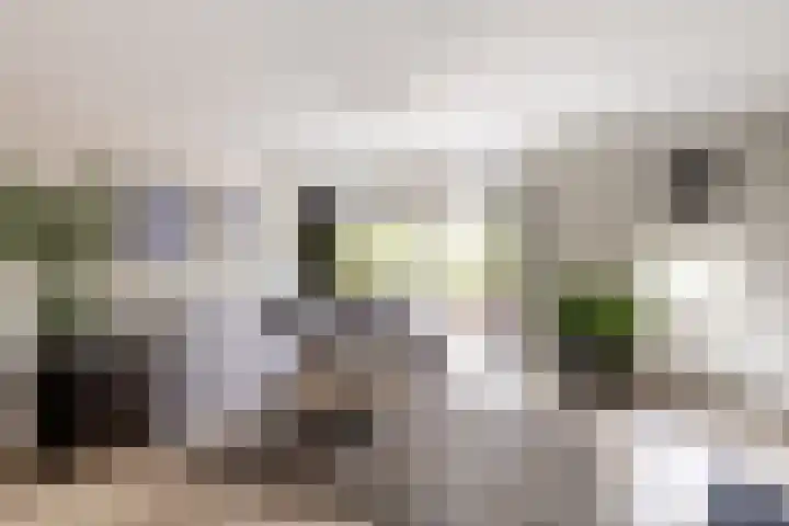 Antoni Staringlaan 70 Vlijmen thumbnail 11