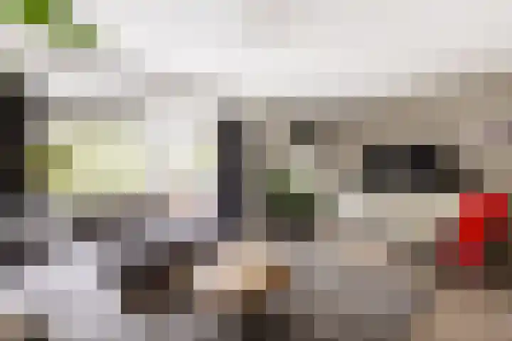 Antoni Staringlaan 70 Vlijmen thumbnail 12