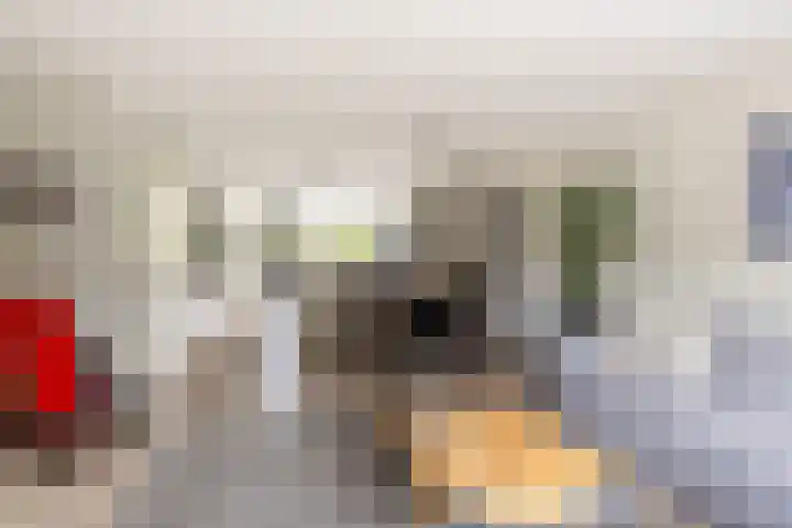 Antoni Staringlaan 70 Vlijmen thumbnail 13