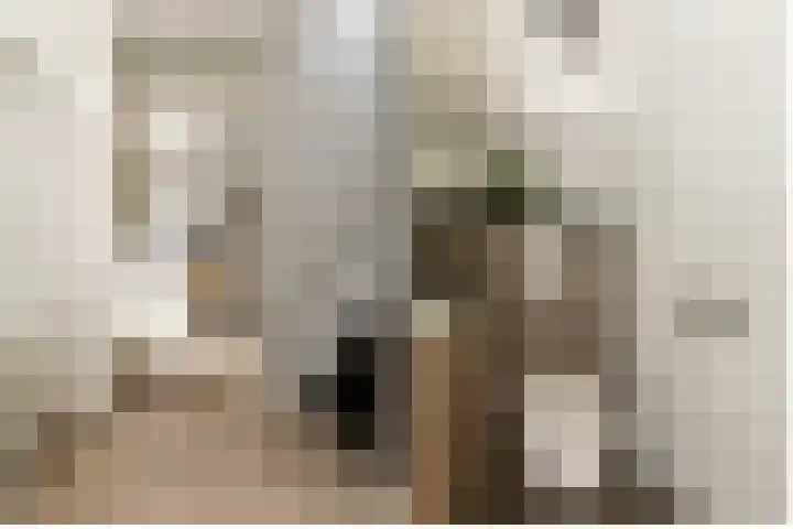 Antoni Staringlaan 70 Vlijmen thumbnail 14
