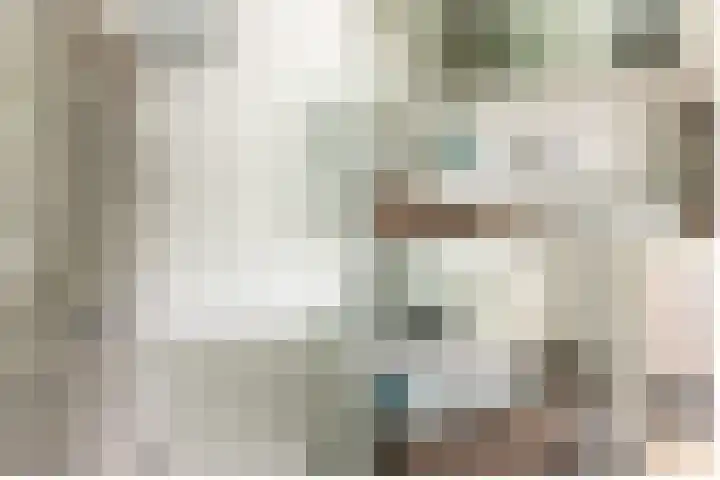 Antoni Staringlaan 70 Vlijmen thumbnail 21