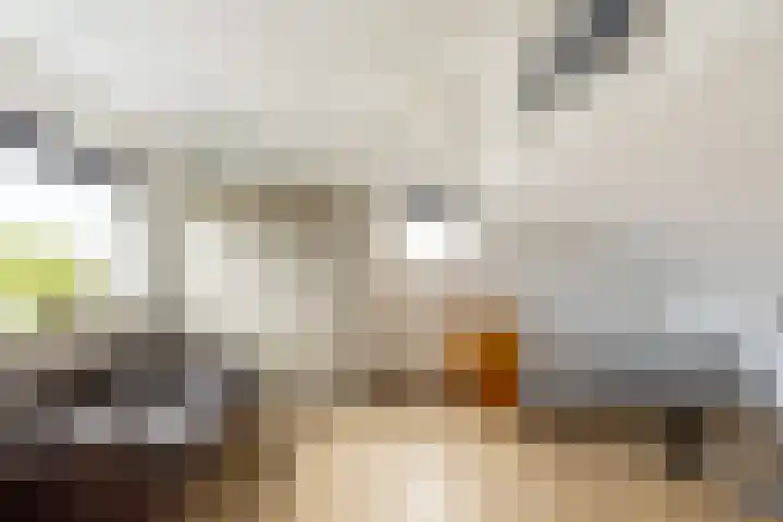 Antoni Staringlaan 70 Vlijmen thumbnail 26