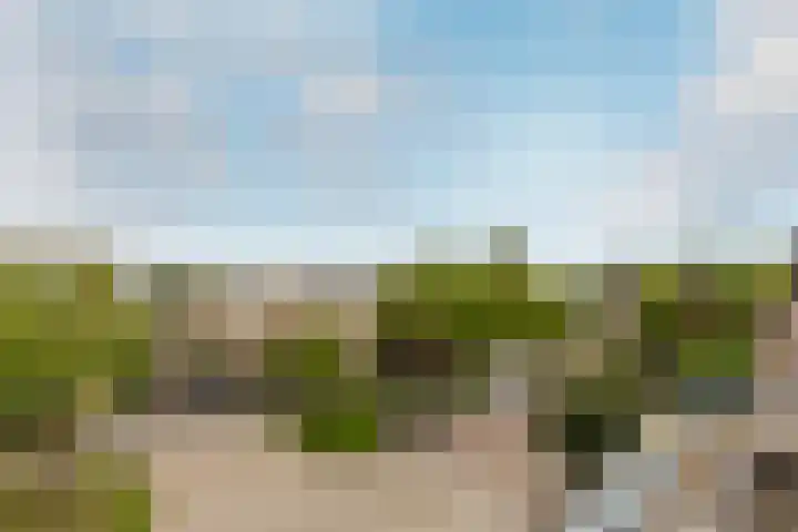Antoni Staringlaan 70 Vlijmen thumbnail 29