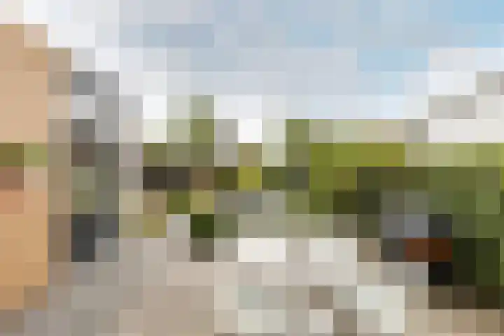 Antoni Staringlaan 70 Vlijmen thumbnail 38
