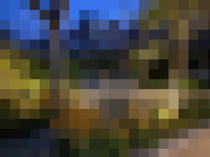 Antoni Staringlaan 70 Vlijmen thumbnail 40