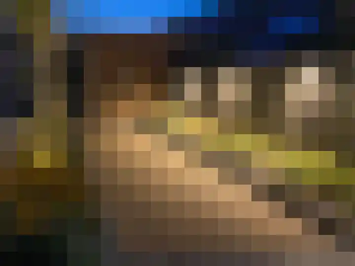 Antoni Staringlaan 70 Vlijmen thumbnail 42