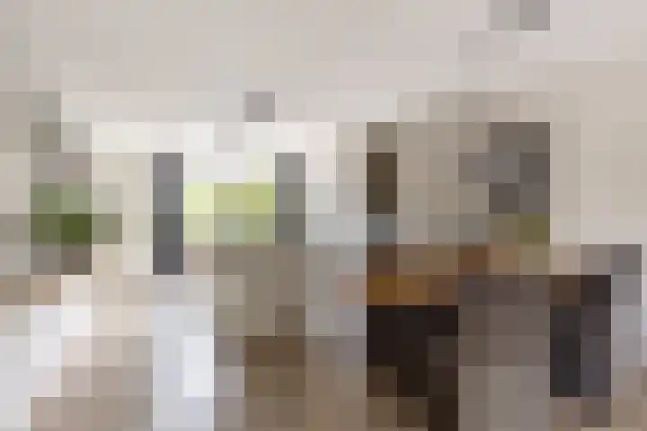 Antoni Staringlaan 70 Vlijmen thumbnail 5