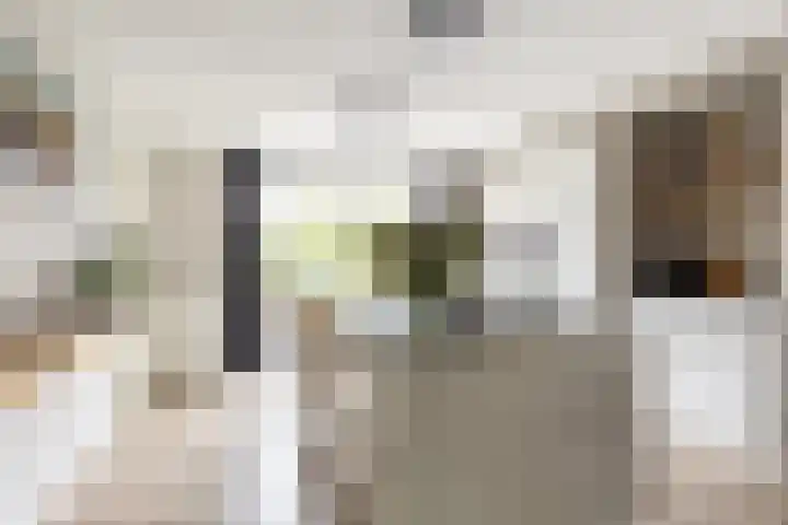 Antoni Staringlaan 70 Vlijmen thumbnail 6