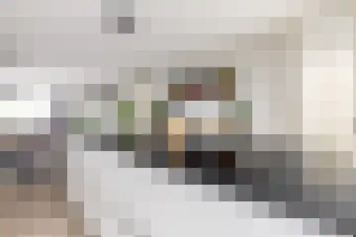 Antoni Staringlaan 70 Vlijmen thumbnail 7