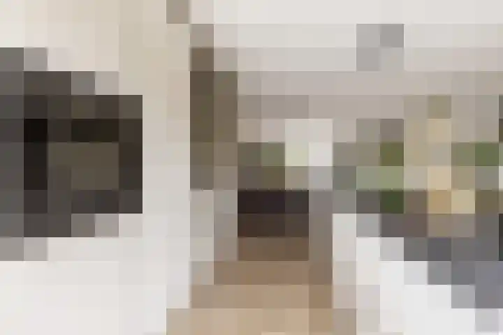 Antoni Staringlaan 70 Vlijmen thumbnail 8
