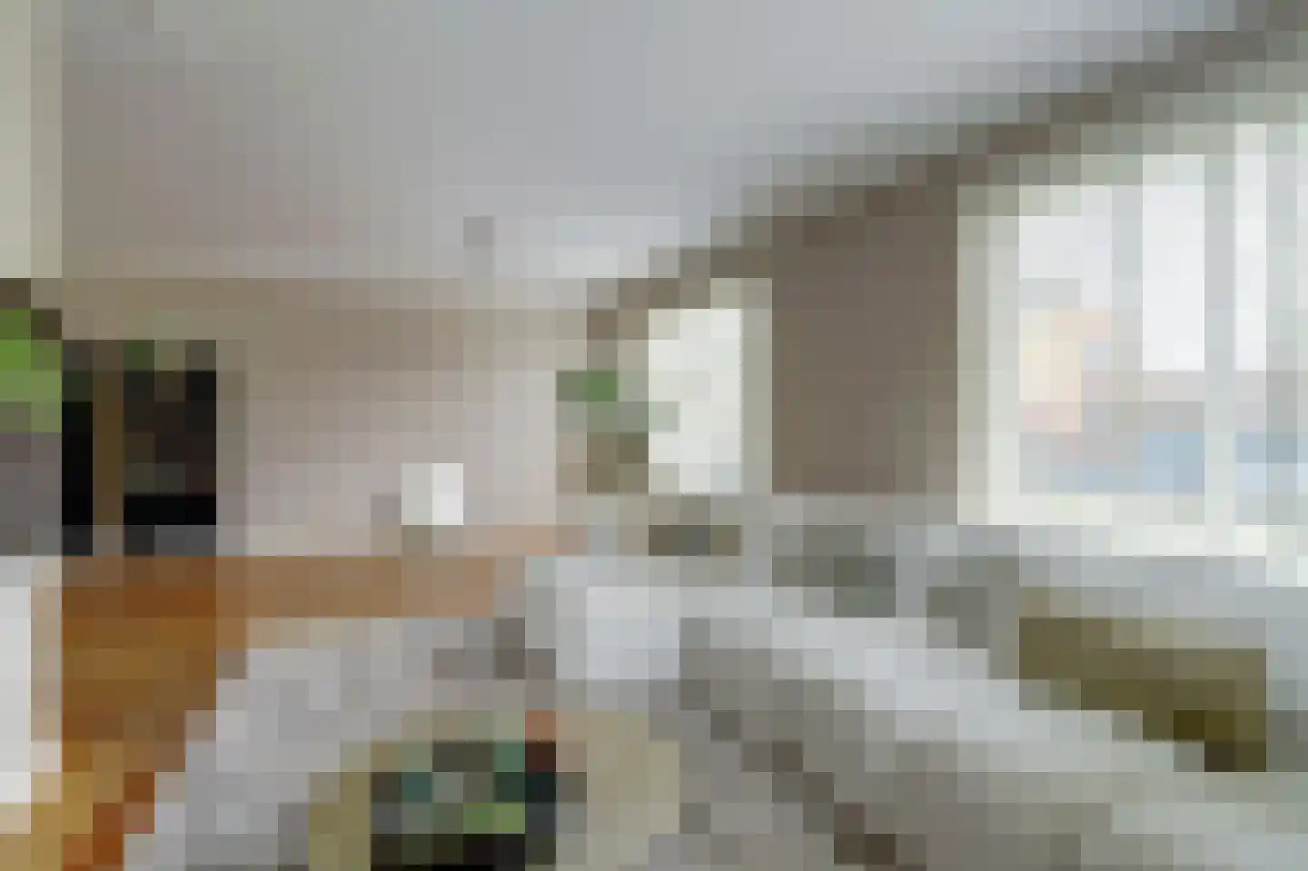 Antoni Staringlaan 8 Vlijmen thumbnail 14