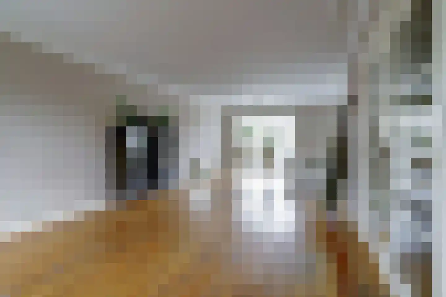 Antoni Staringlaan 8 Vlijmen thumbnail 15