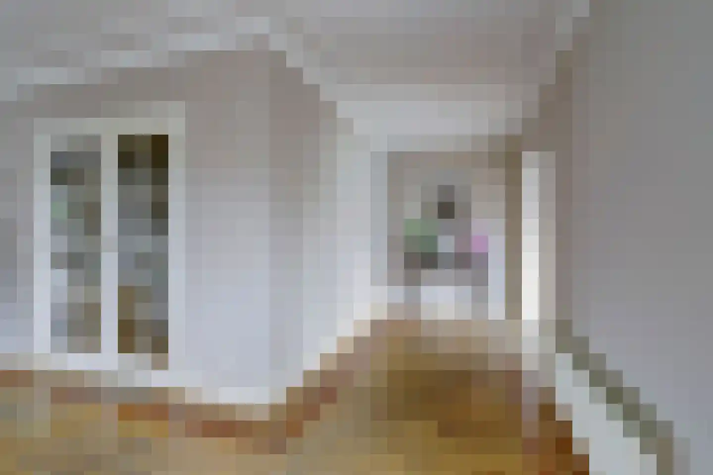 Antoni Staringlaan 8 Vlijmen thumbnail 17