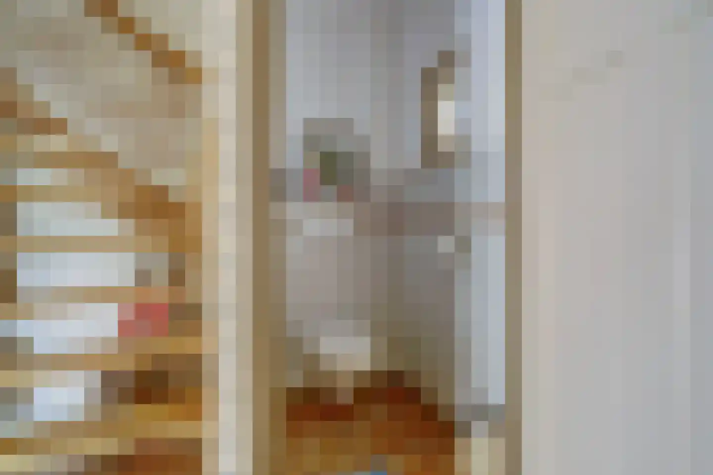 Antoni Staringlaan 8 Vlijmen thumbnail 24