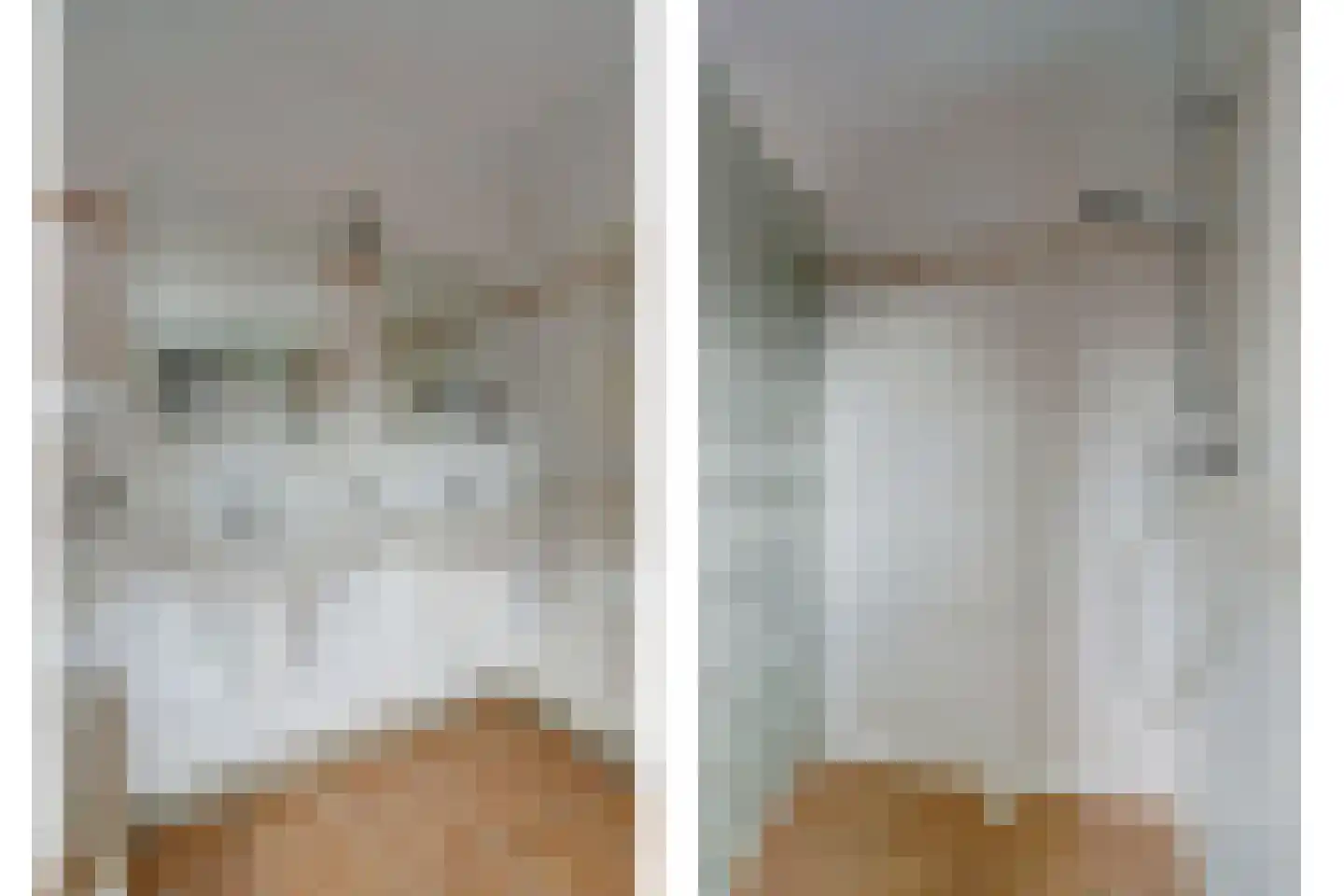 Antoni Staringlaan 8 Vlijmen thumbnail 33