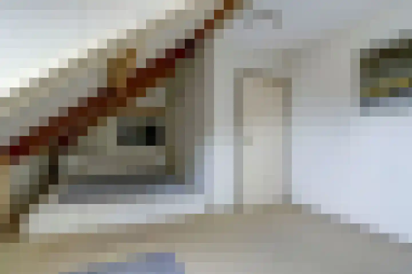 Antoni Staringlaan 8 Vlijmen thumbnail 35