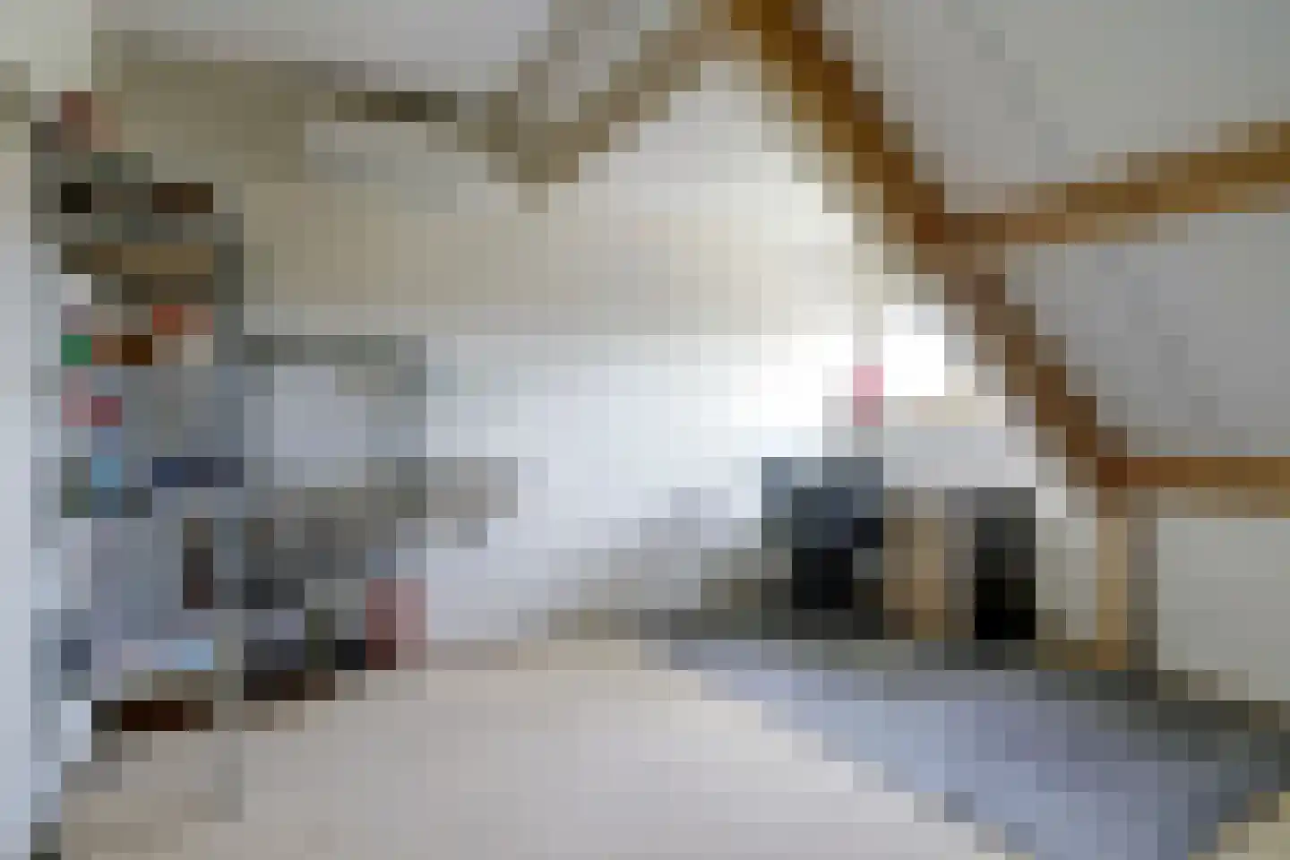 Antoni Staringlaan 8 Vlijmen thumbnail 38