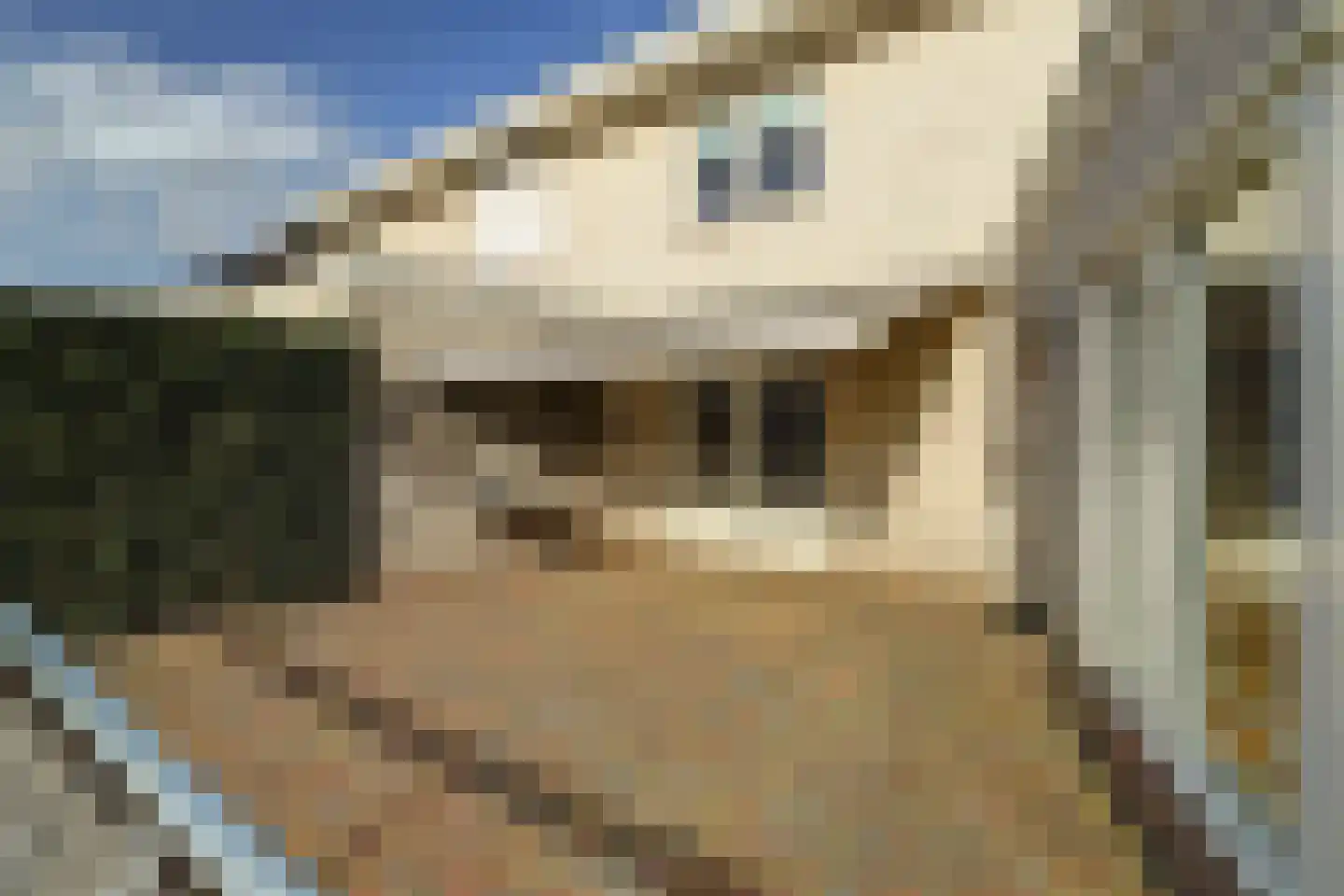 Antoni Staringlaan 8 Vlijmen thumbnail 39