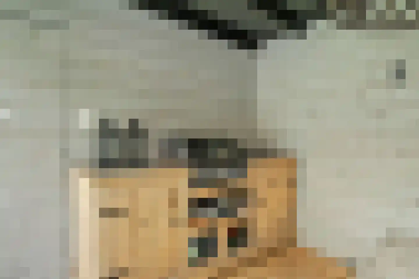 Antoni Staringlaan 8 Vlijmen thumbnail 48