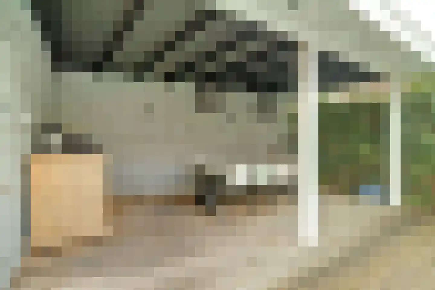 Antoni Staringlaan 8 Vlijmen thumbnail 49