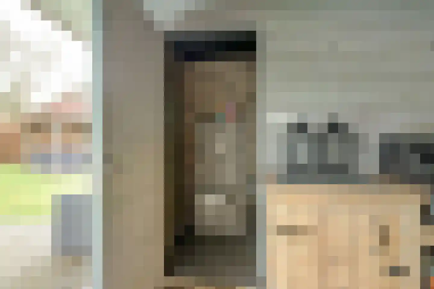 Antoni Staringlaan 8 Vlijmen thumbnail 50