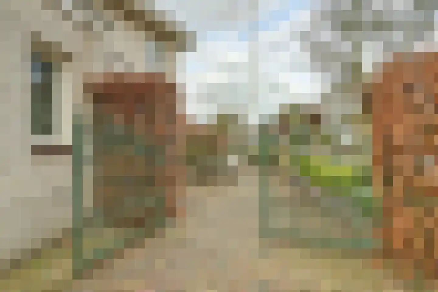 Antoni Staringlaan 8 Vlijmen thumbnail 52