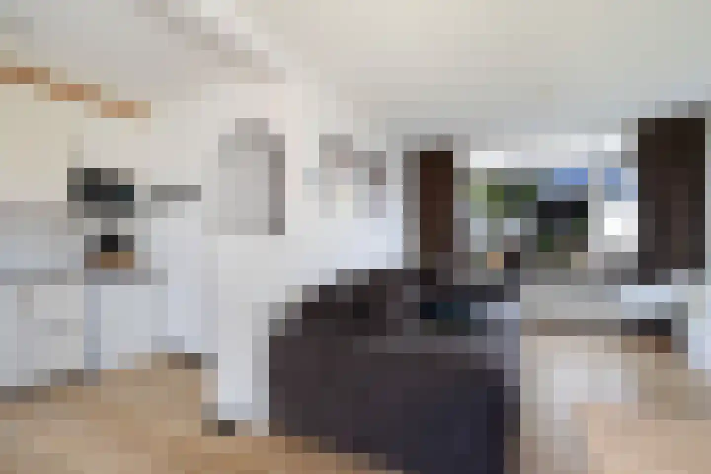 Antoni van Leeuwenhoekstraat 47 Zwijndrecht thumbnail 10