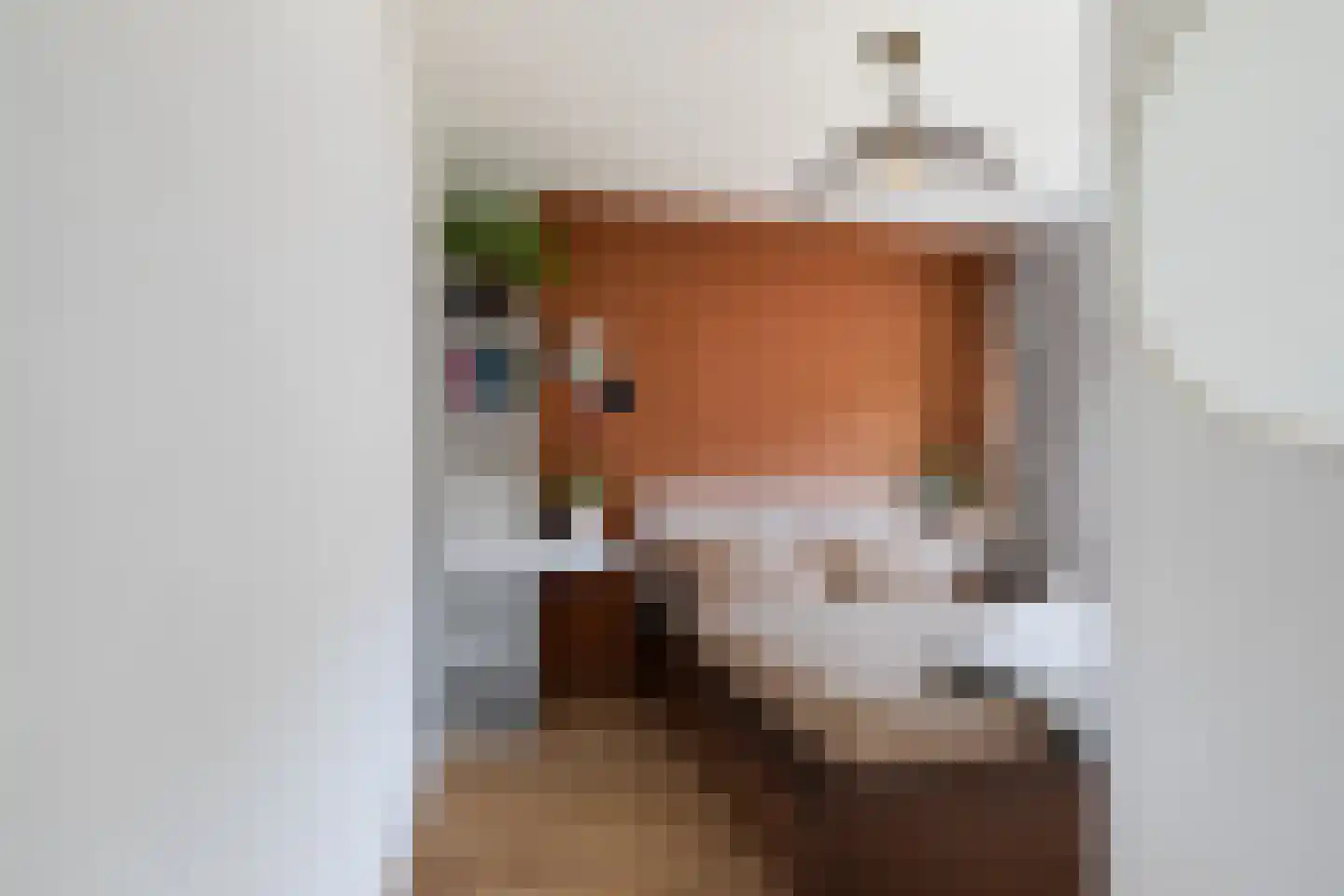 Antoni van Leeuwenhoekstraat 47 Zwijndrecht thumbnail 17