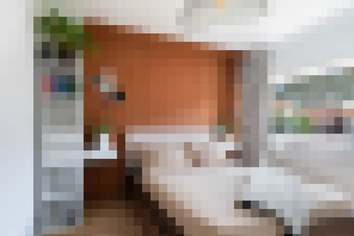 Antoni van Leeuwenhoekstraat 47 Zwijndrecht thumbnail 18