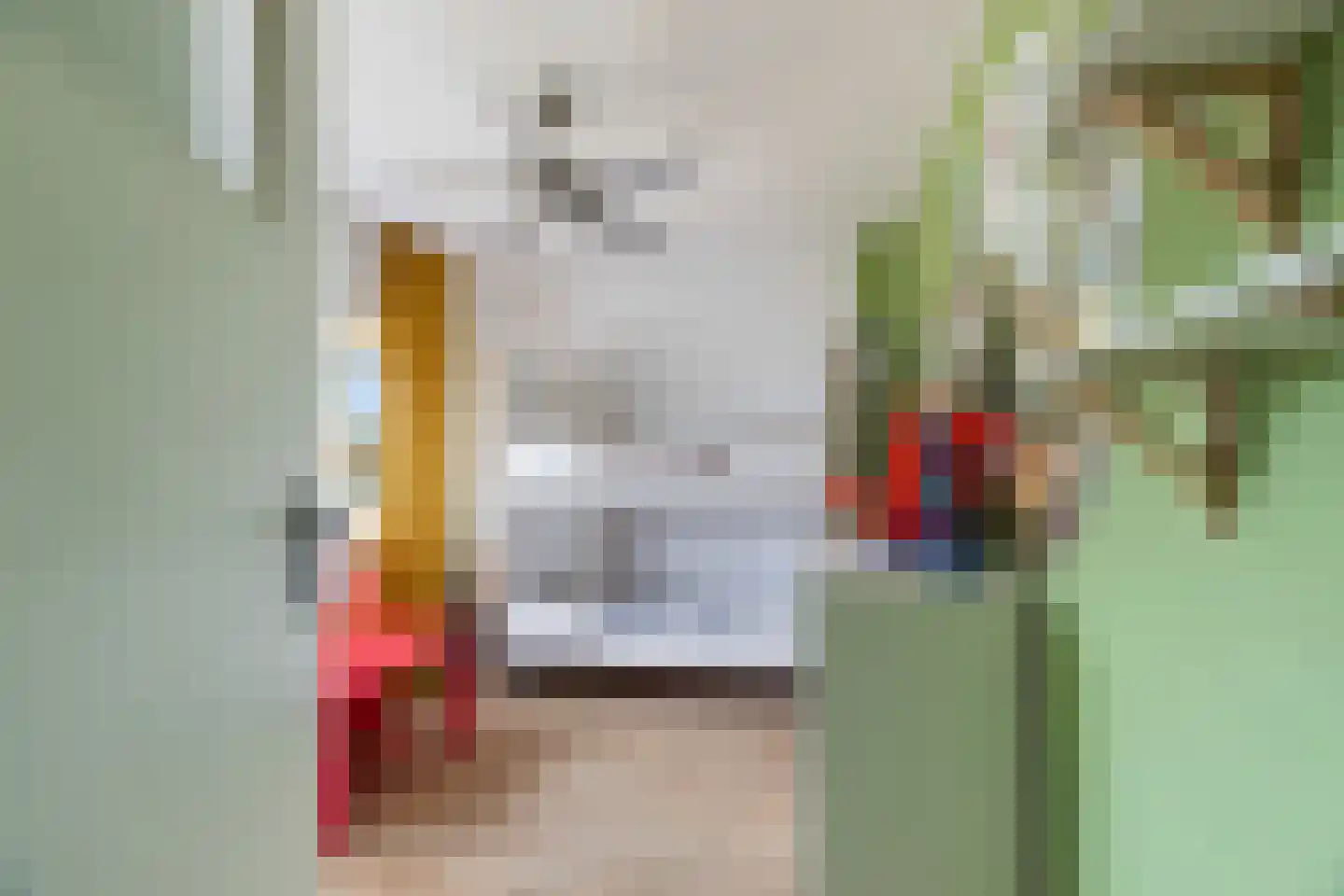 Antoni van Leeuwenhoekstraat 47 Zwijndrecht thumbnail 25
