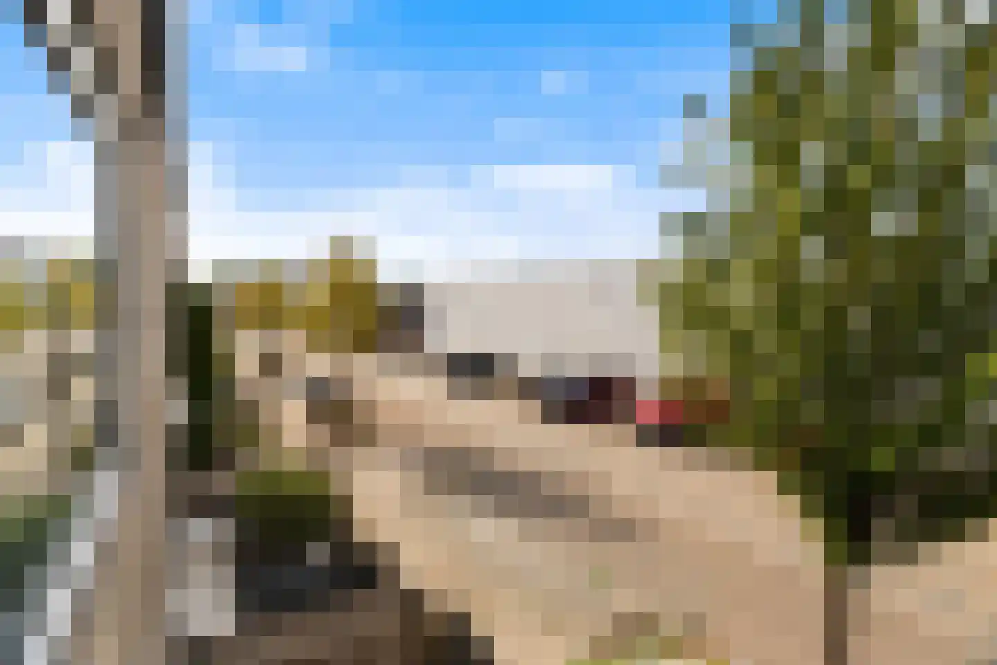 Antoni van Leeuwenhoekstraat 47 Zwijndrecht thumbnail 32