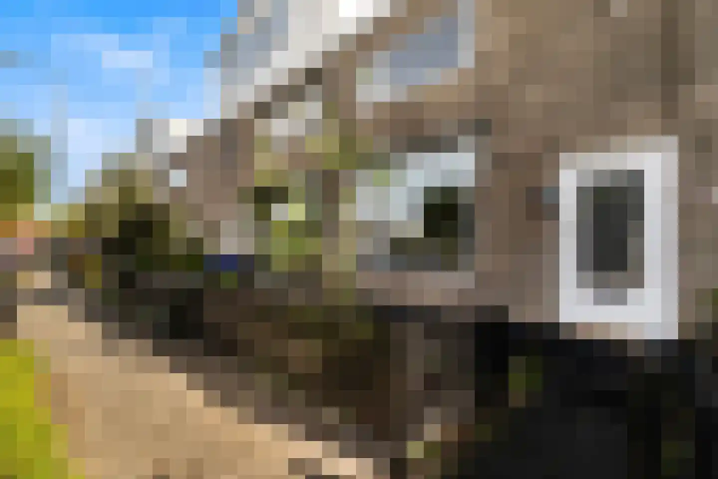 Antoni van Leeuwenhoekstraat 47 Zwijndrecht thumbnail 35