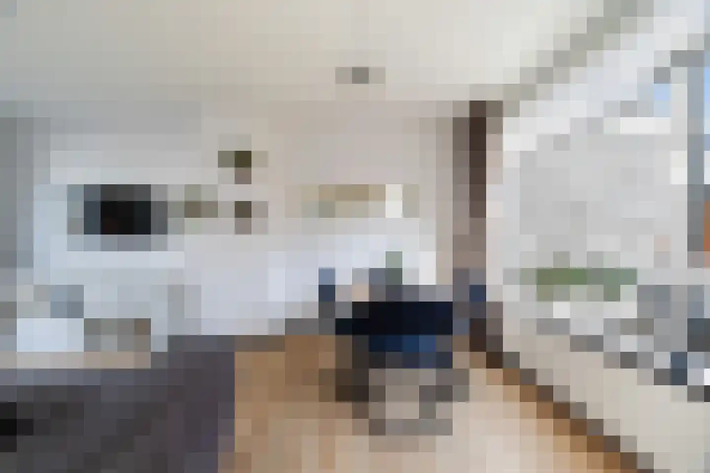 Antoni van Leeuwenhoekstraat 47 Zwijndrecht thumbnail 9