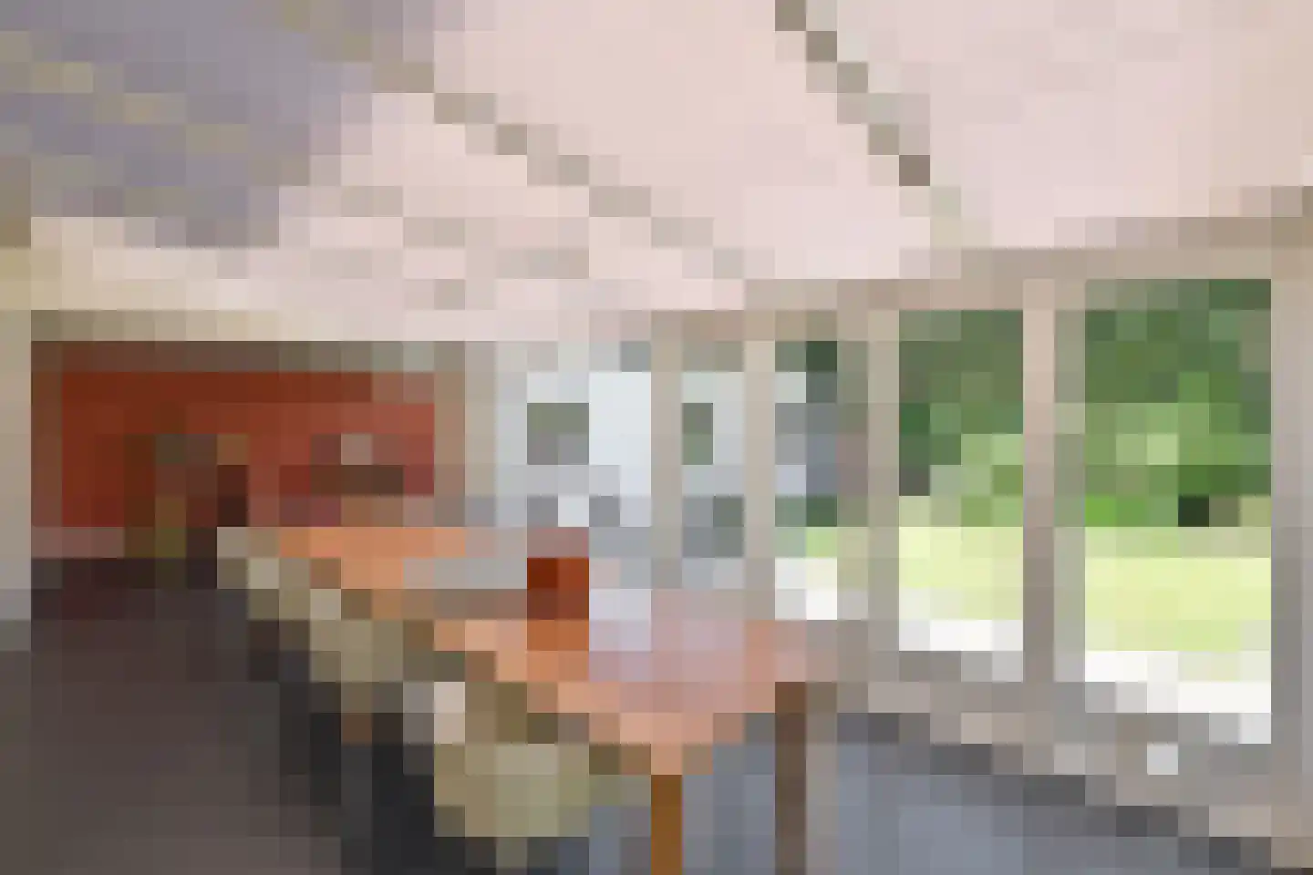 Antoni van Leeuwenhoekweg 3 Bussum thumbnail 14