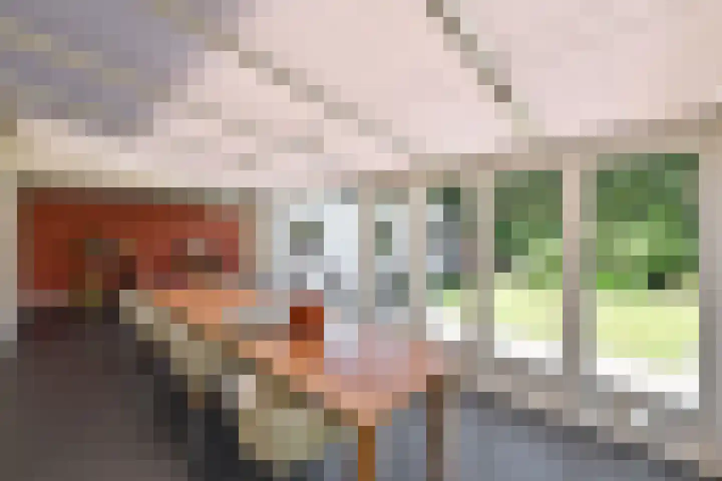 Antoni van Leeuwenhoekweg 3 Bussum thumbnail 14