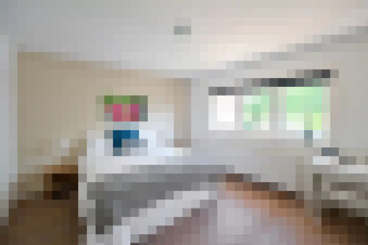 Antoni van Leeuwenhoekweg 3 Bussum thumbnail 17