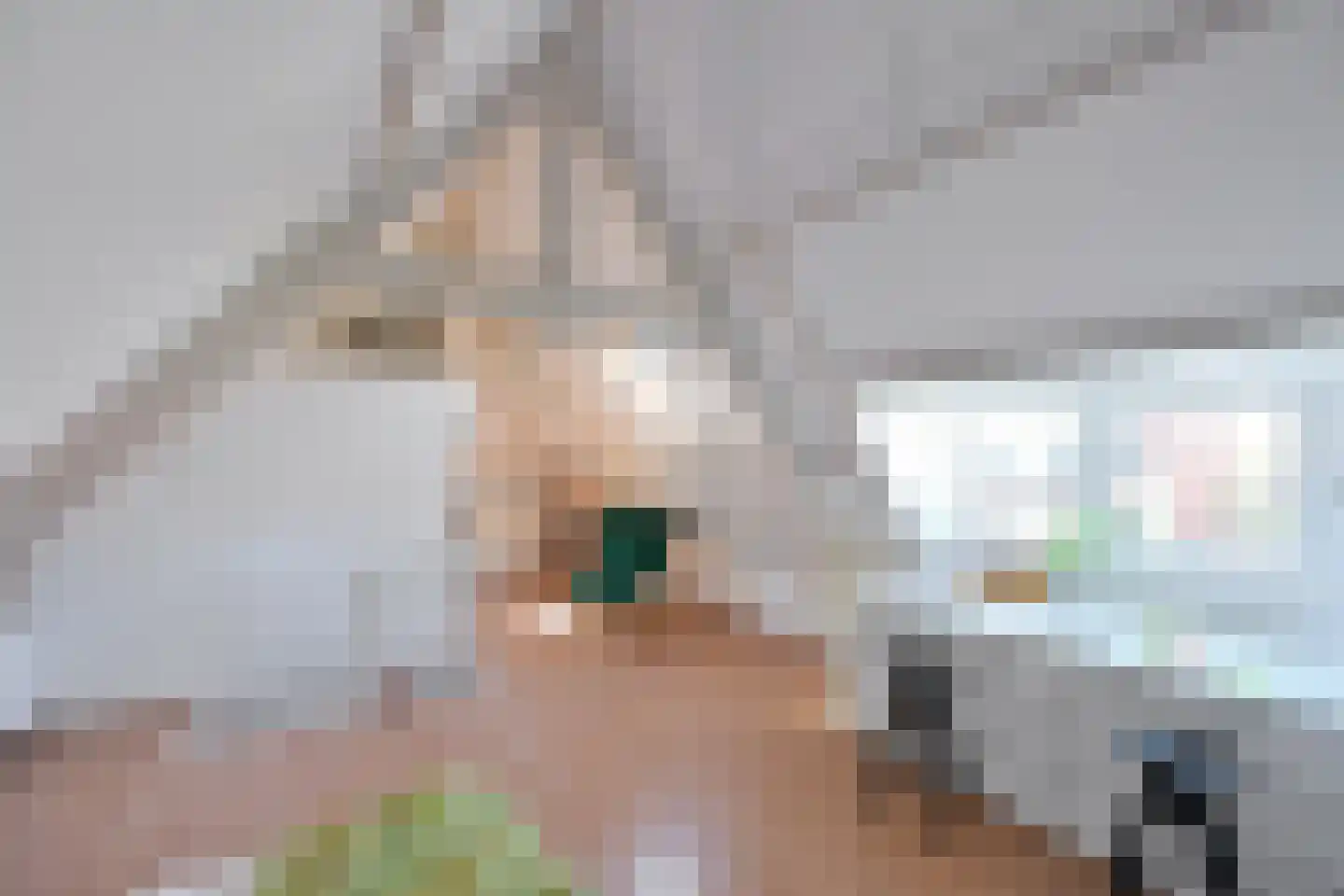 Antoni van Leeuwenhoekweg 3 Bussum thumbnail 21