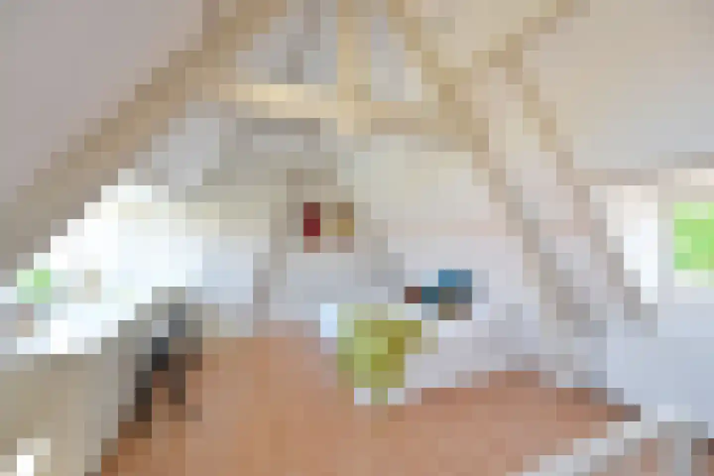 Antoni van Leeuwenhoekweg 3 Bussum thumbnail 22