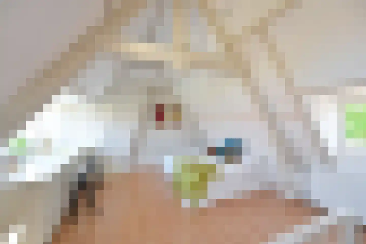 Antoni van Leeuwenhoekweg 3 Bussum thumbnail 22