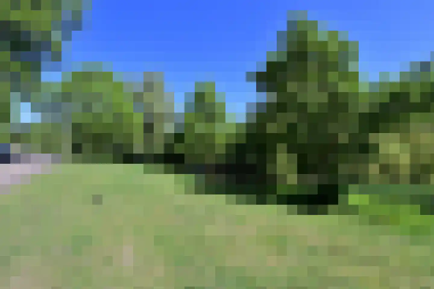 Antoni van Leeuwenhoekweg 3 Bussum thumbnail 28