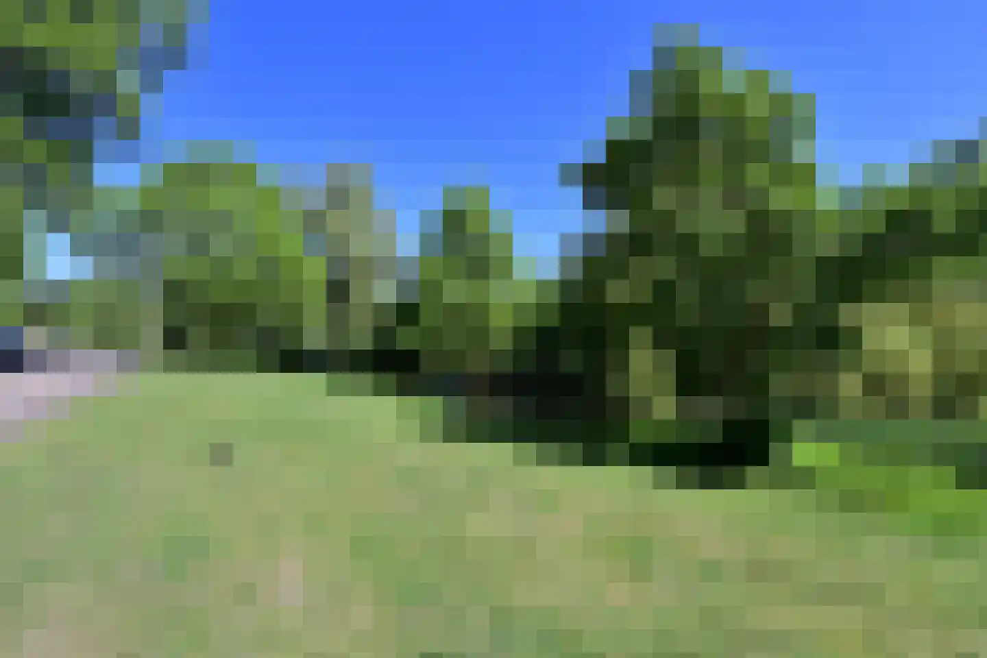Antoni van Leeuwenhoekweg 3 Bussum thumbnail 28