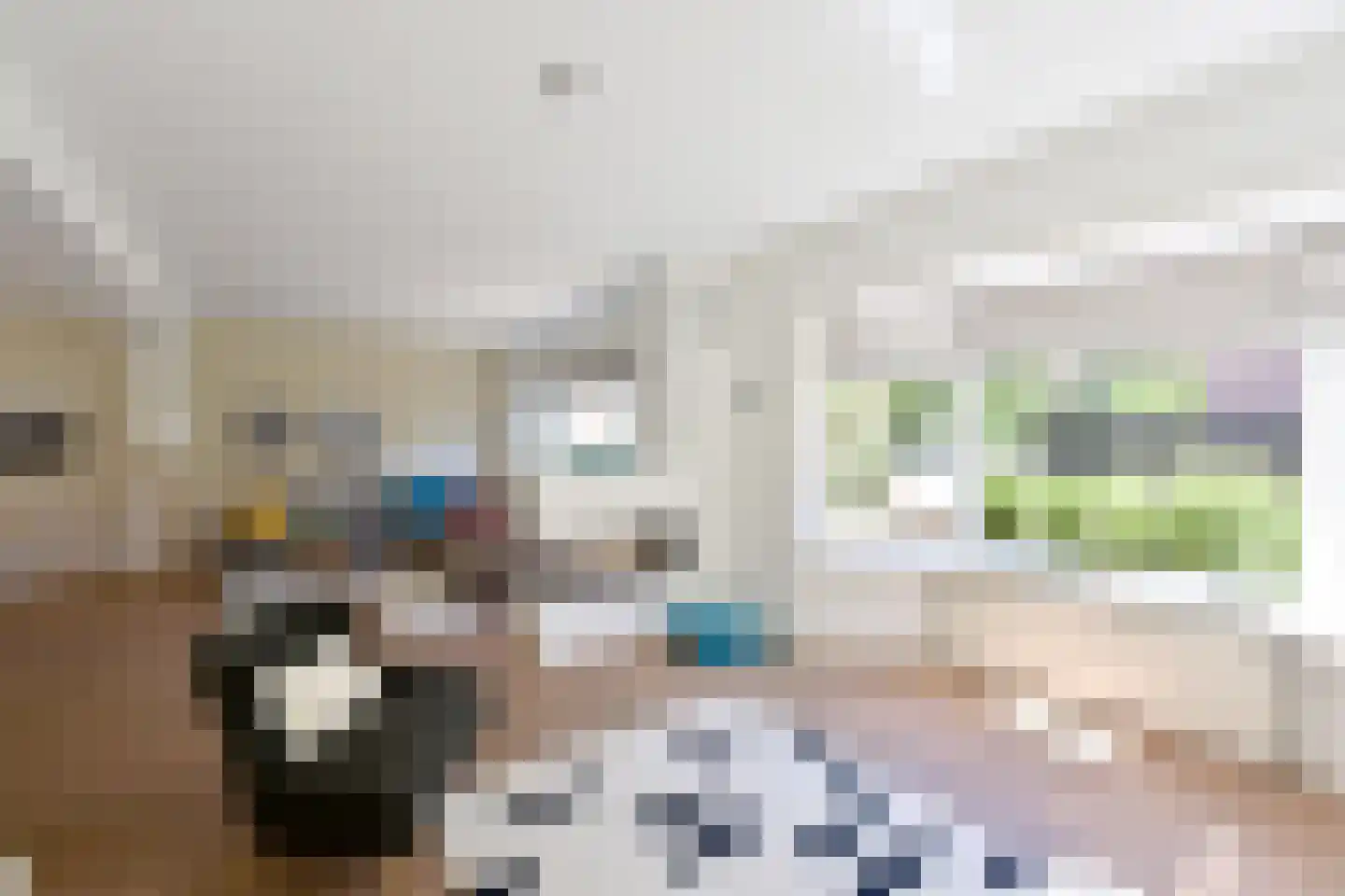 Antoni van Leeuwenhoekweg 3 Bussum thumbnail 8