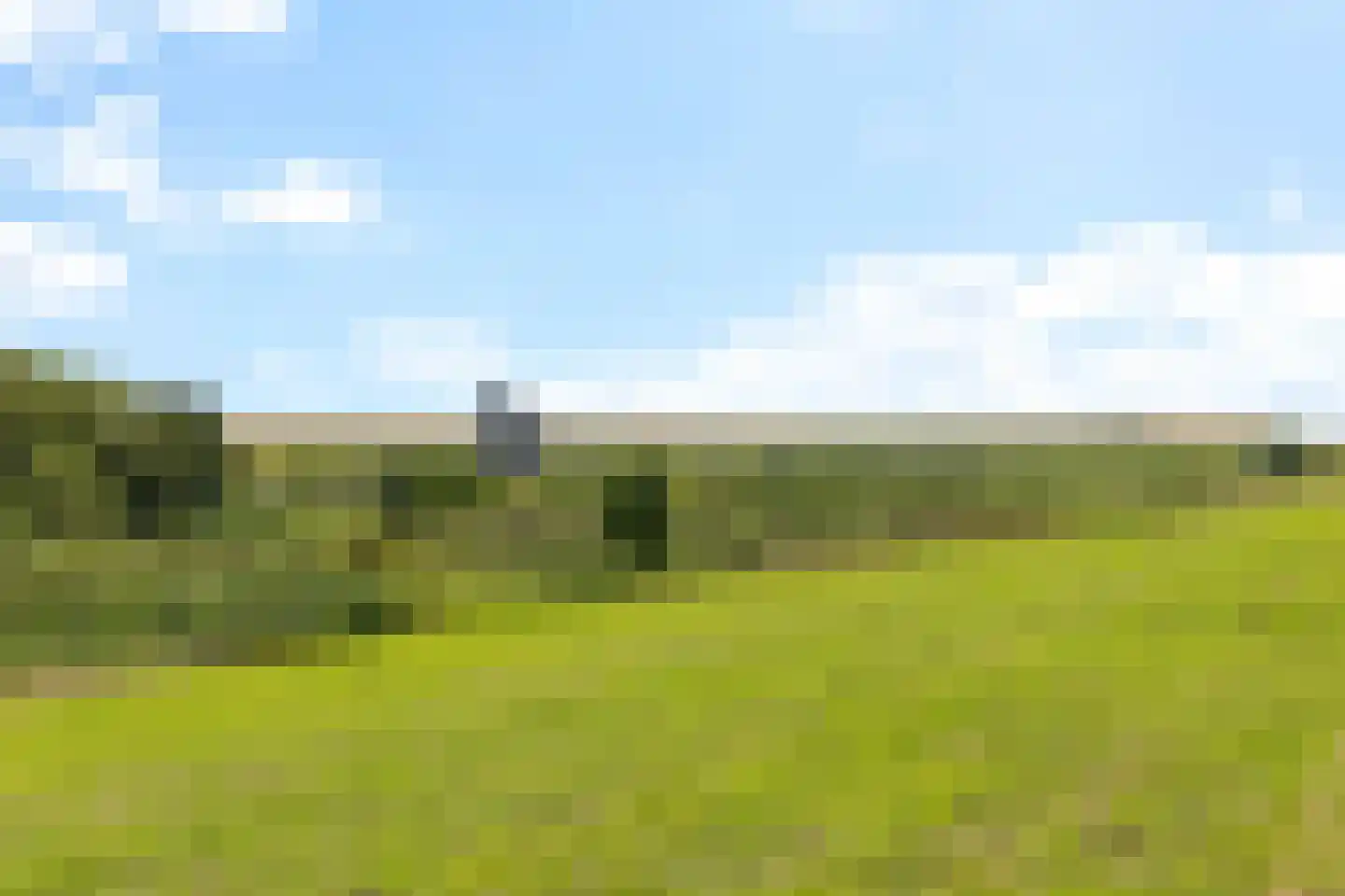 Antoni Verburghwijk 3 Termunterzijl thumbnail 13