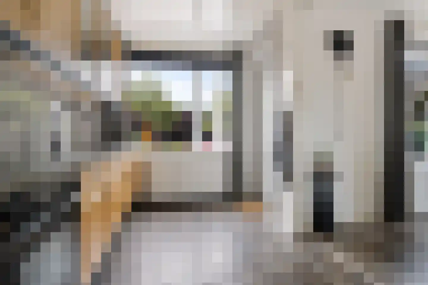 Antoni Verburghwijk 3 Termunterzijl thumbnail 35