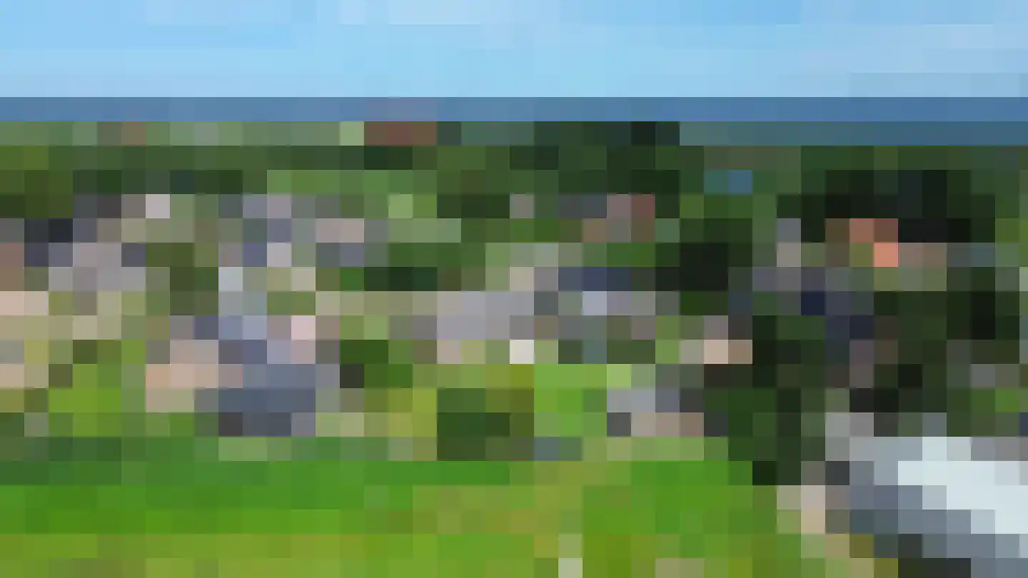 Antoni Verburghwijk 68 Termunterzijl thumbnail 51