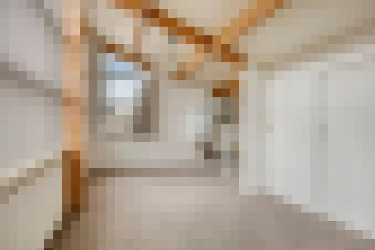 Antonialaan 5 Almkerk thumbnail 19