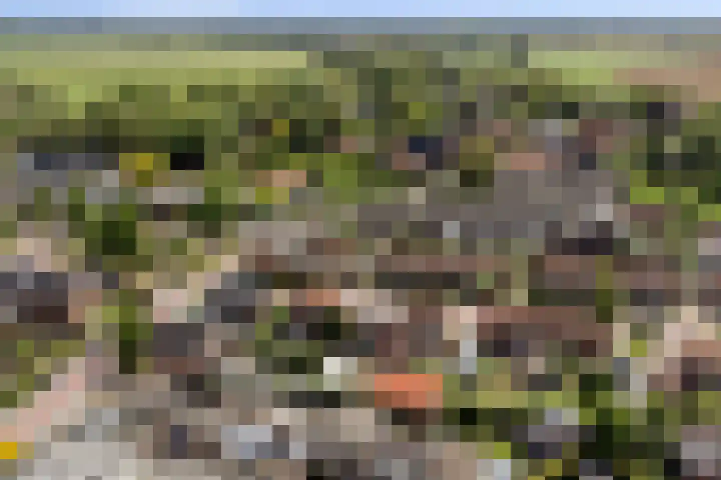 Antonialaan 5 Almkerk thumbnail 28